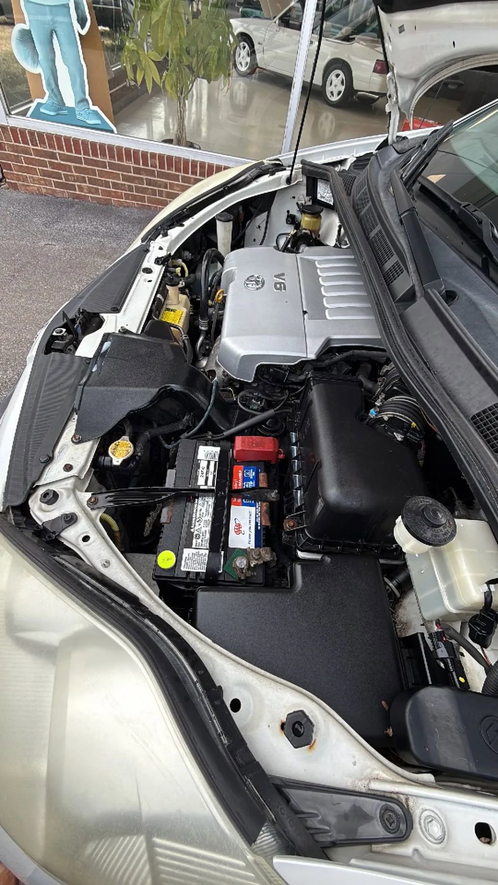 Used 2010 Toyota Sienna XLE FWD image 37