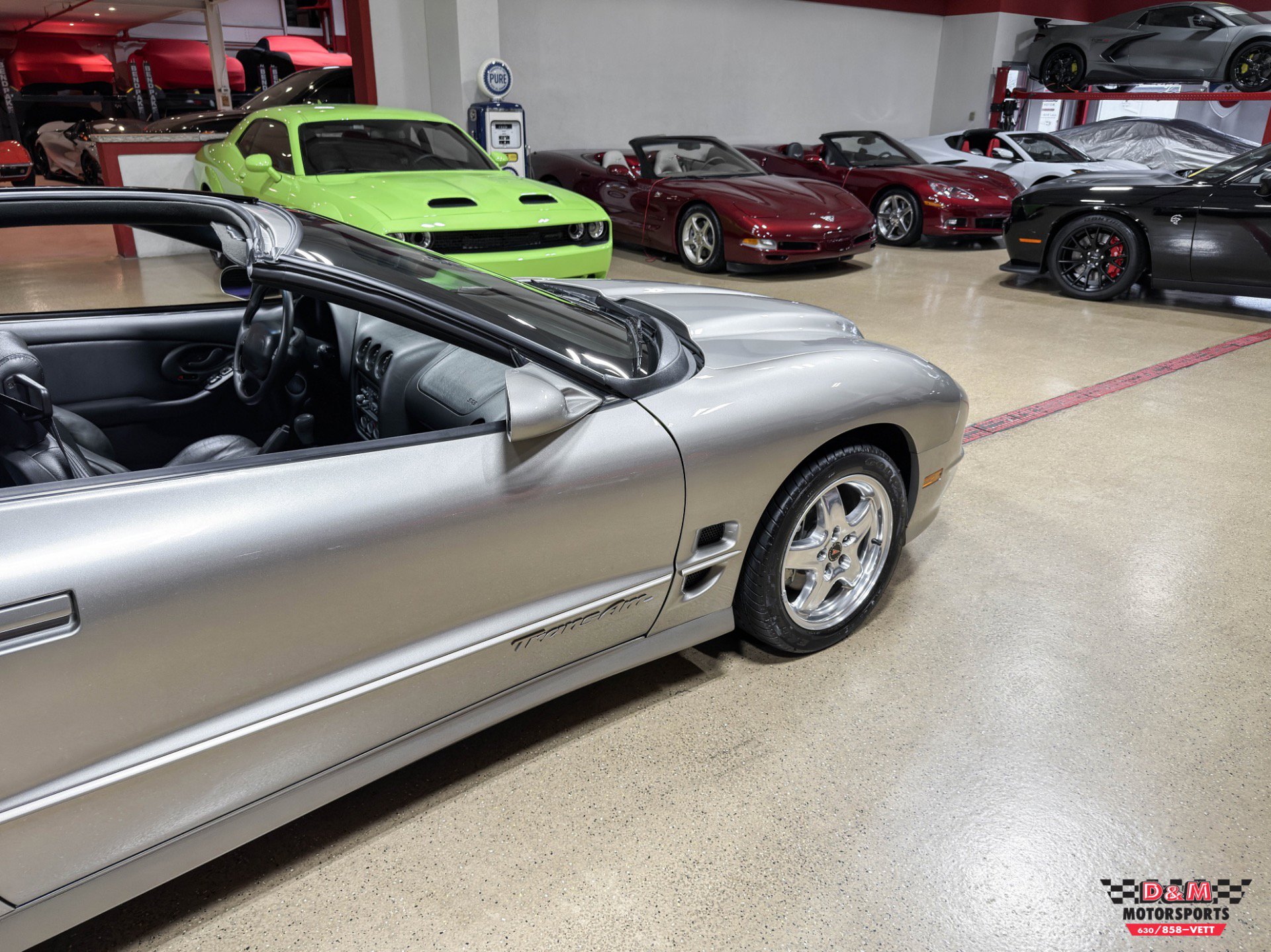 Used 2002 Pontiac Firebird Trans Am image 51