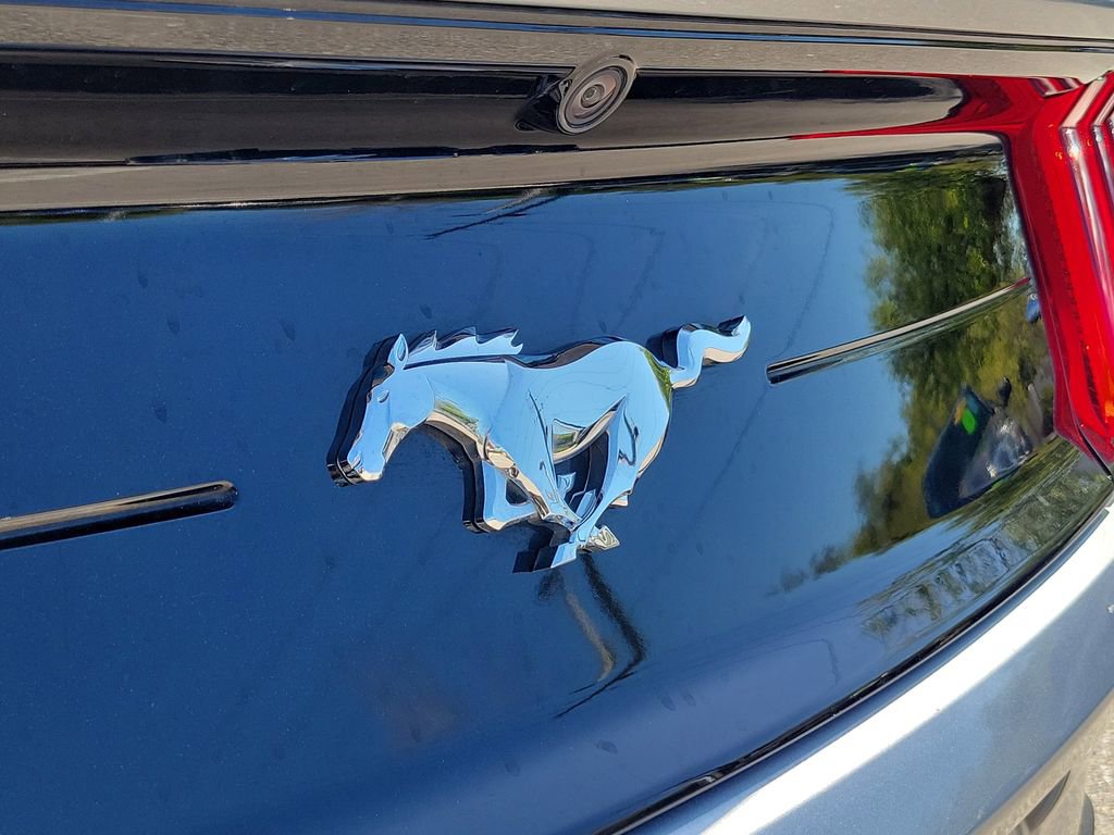Used 2023 Ford Mustang Premium image 15