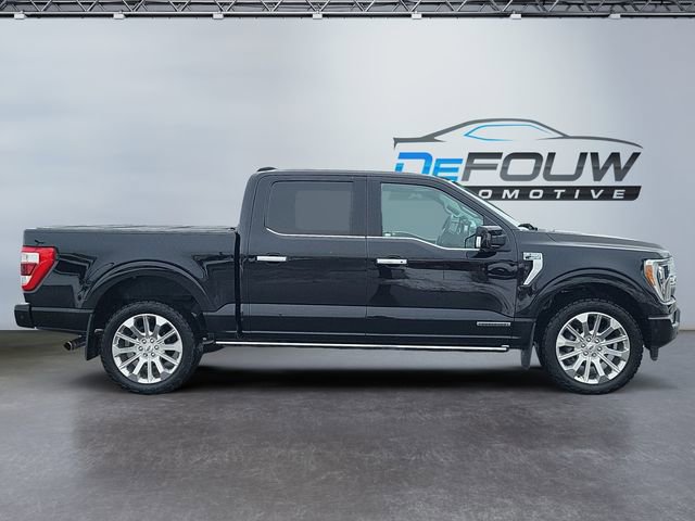 Used 2023 Ford F150 Limited image 2
