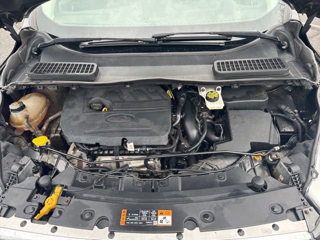 Used 2017 Ford Escape SE w/ Equipment Group 201A image 28