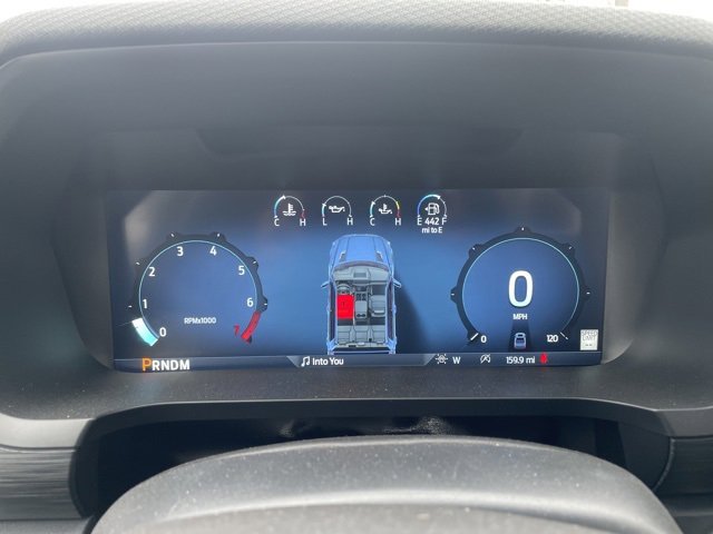 New 2025 Ford F150 XLT w/ Equipment Group 302A MID image 10