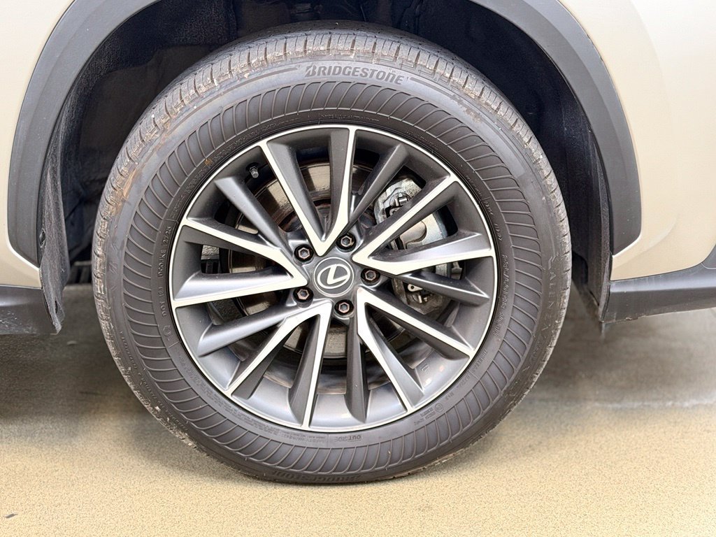 Used 2024 Lexus NX 350h AWD w/ Cold Area Package image 4