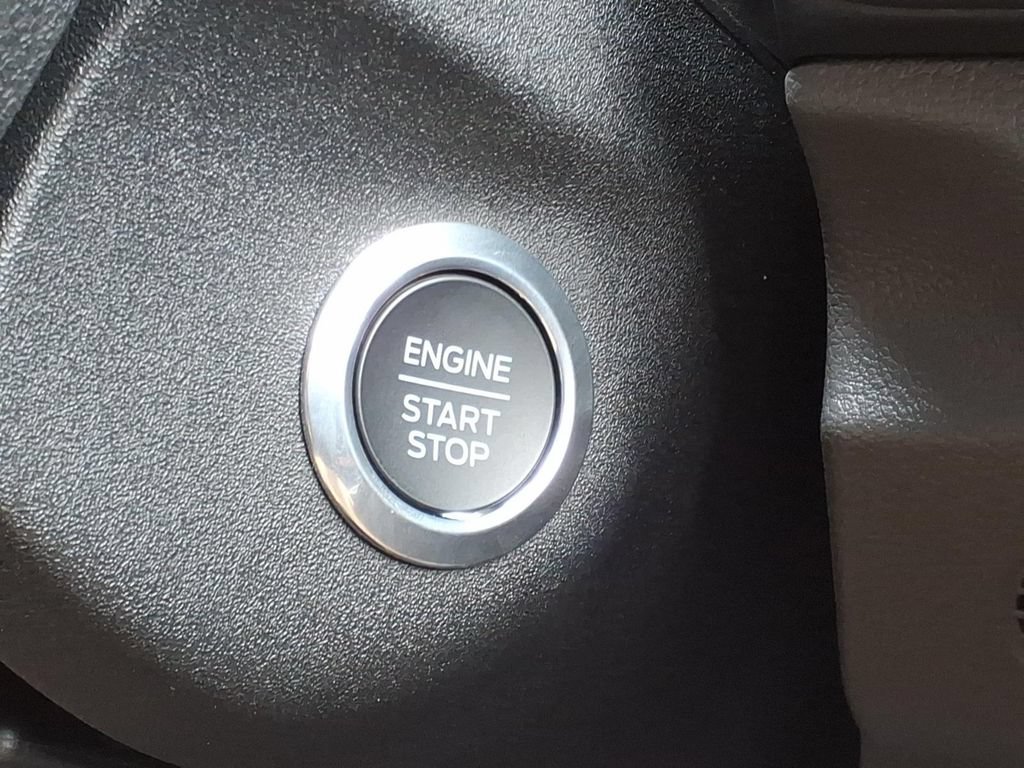 New 2026 Ford Transit 250 148 Medium Roof Extended AWD w/ Load Area Protection Package image 19
