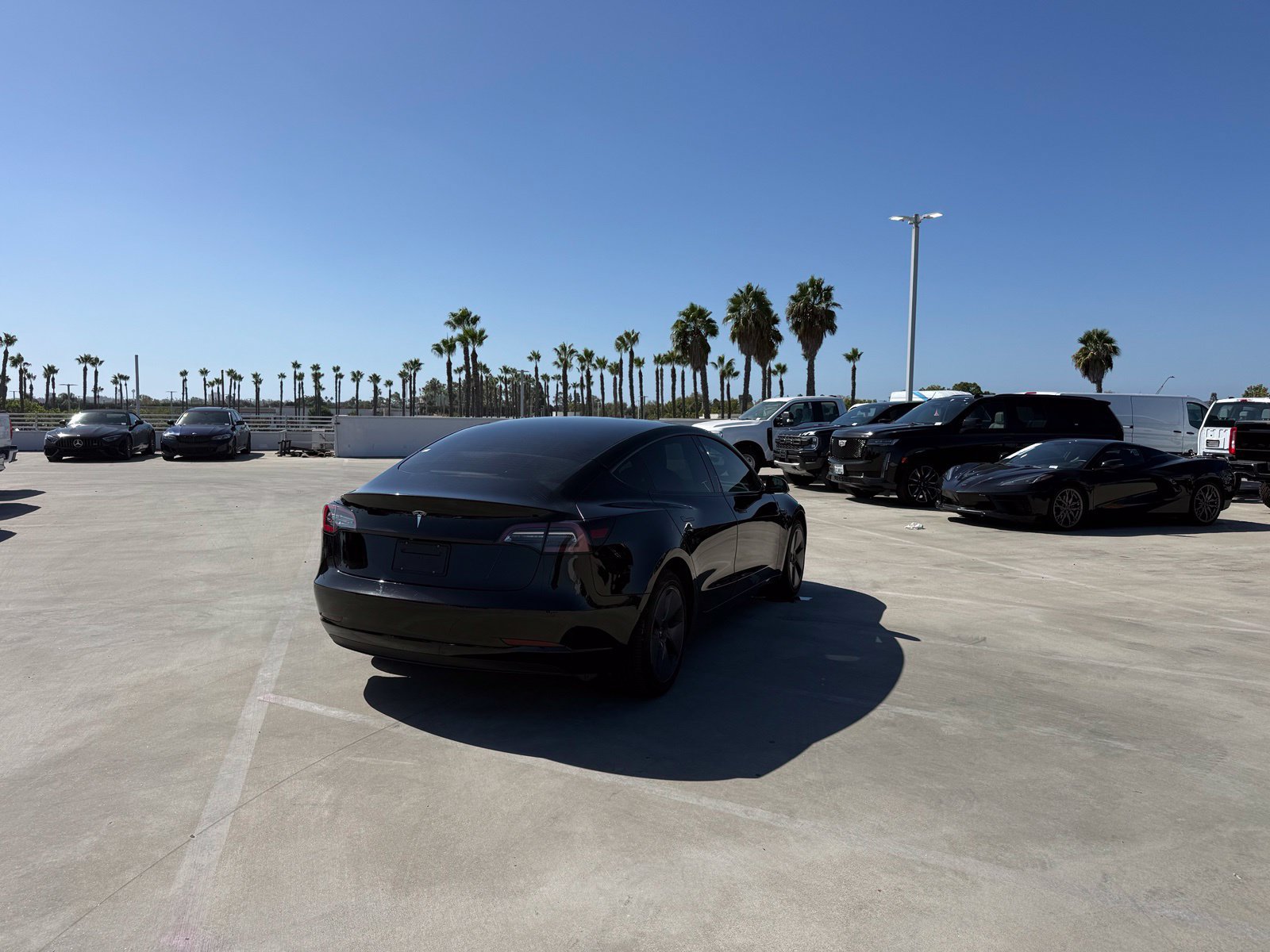 Used 2022 Tesla Model 3 Standard Range RWD image 3