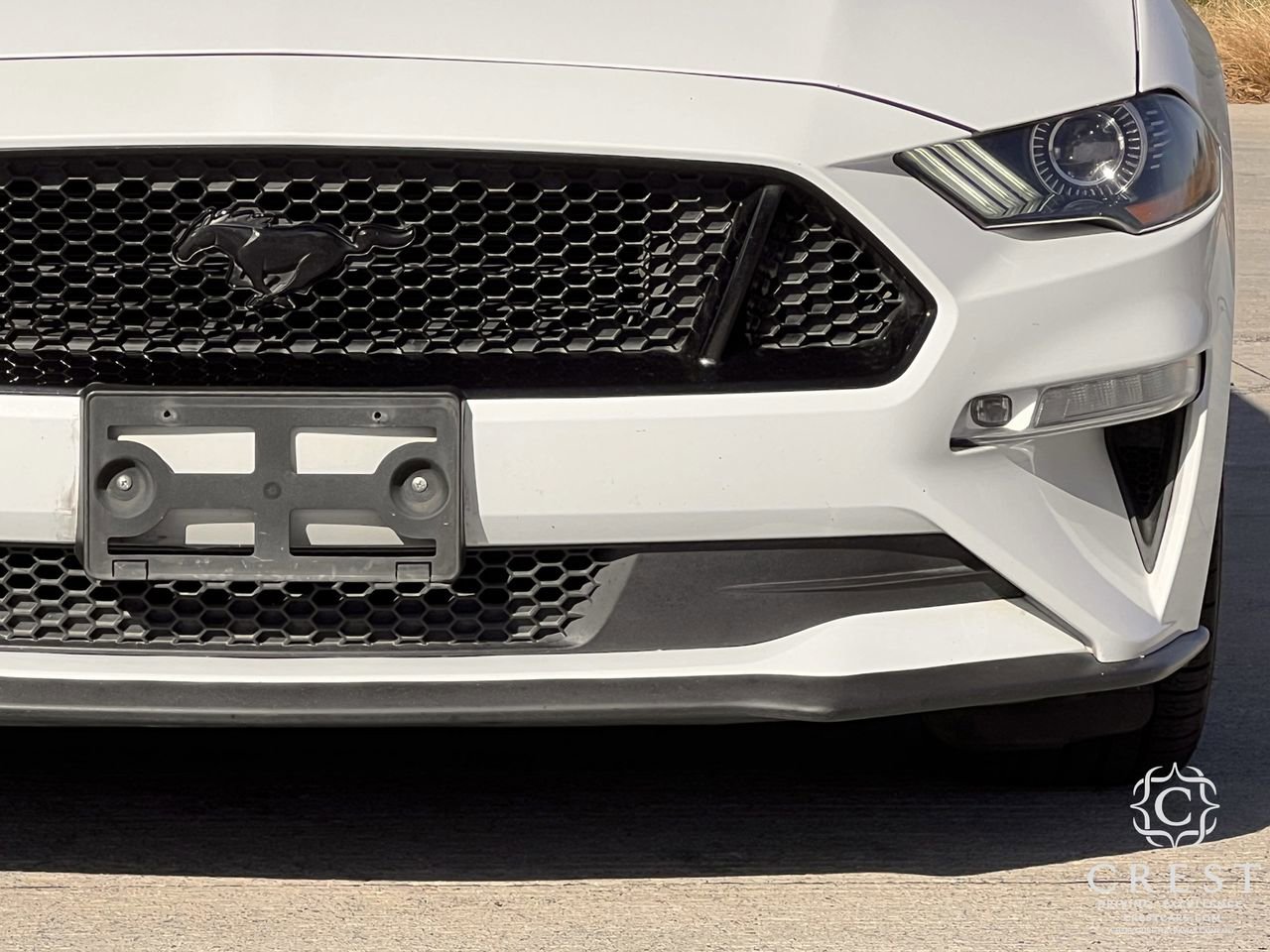 Used 2019 Ford Mustang GT Premium w/ Equipment Group 401A image 10