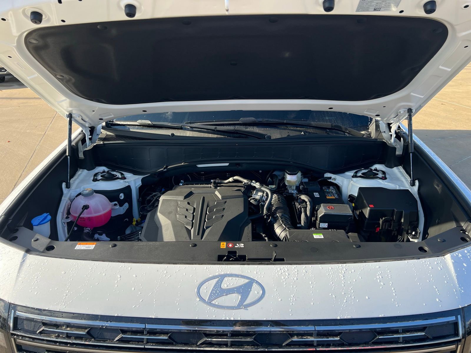 New 2026 Hyundai Palisade Calligraphy image 43