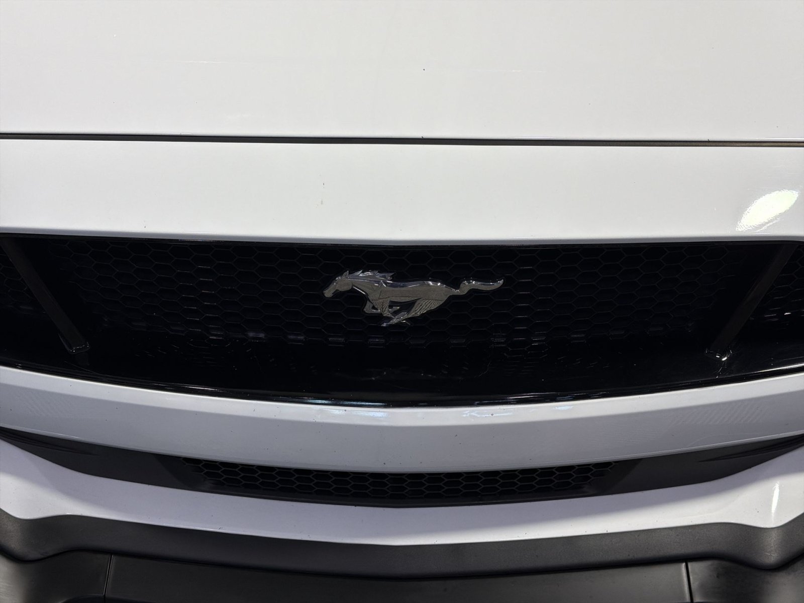 Used 2023 Ford Mustang GT Premium w/ Equipment Group 401A RWD image 12