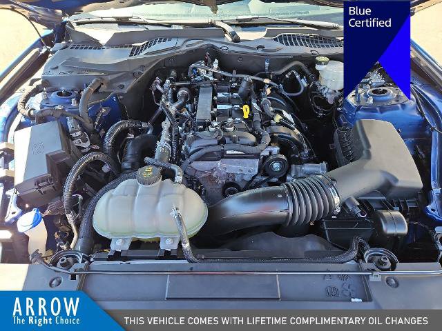Certified 2023 Ford Mustang Coupe w/ Equipment Group 101A RWD image 15