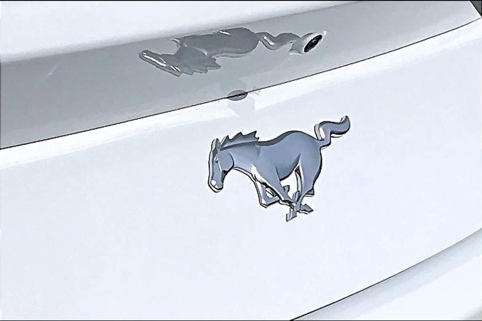 Used 2025 Ford Mustang Coupe RWD image 10