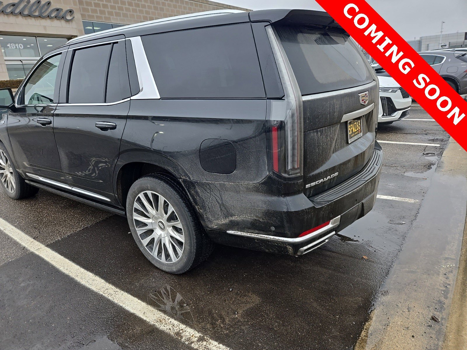 Certified 2025 Cadillac Escalade Premium Luxury Platinum image 5