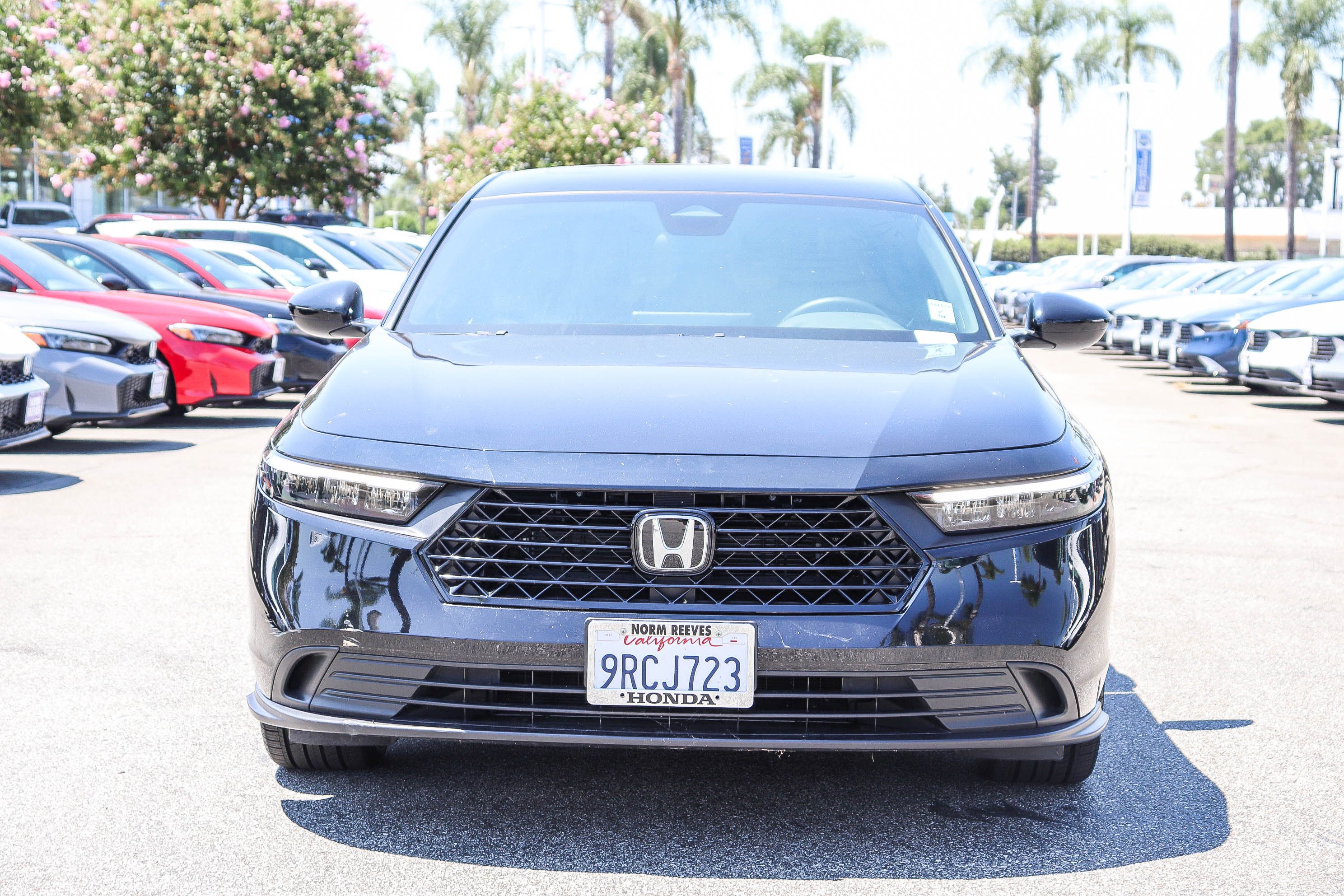 Certified 2025 Honda Accord Sport image 2