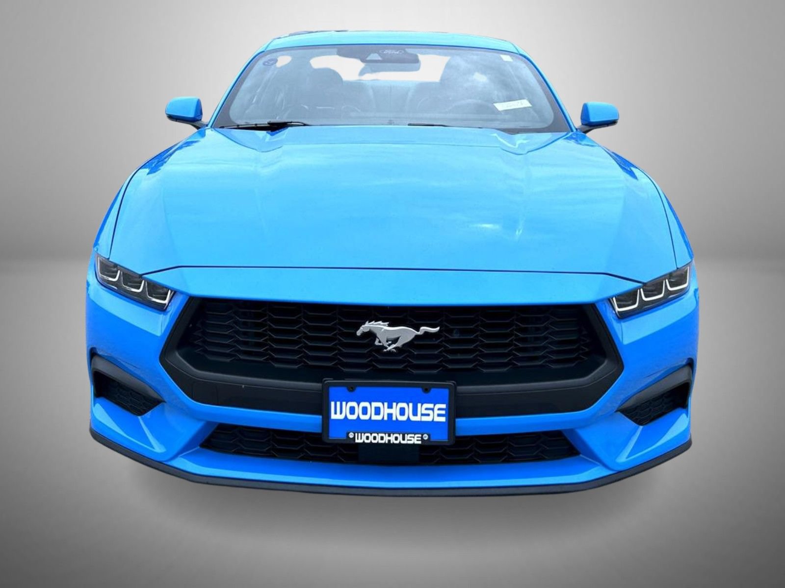 Used 2024 Ford Mustang Premium RWD image 2