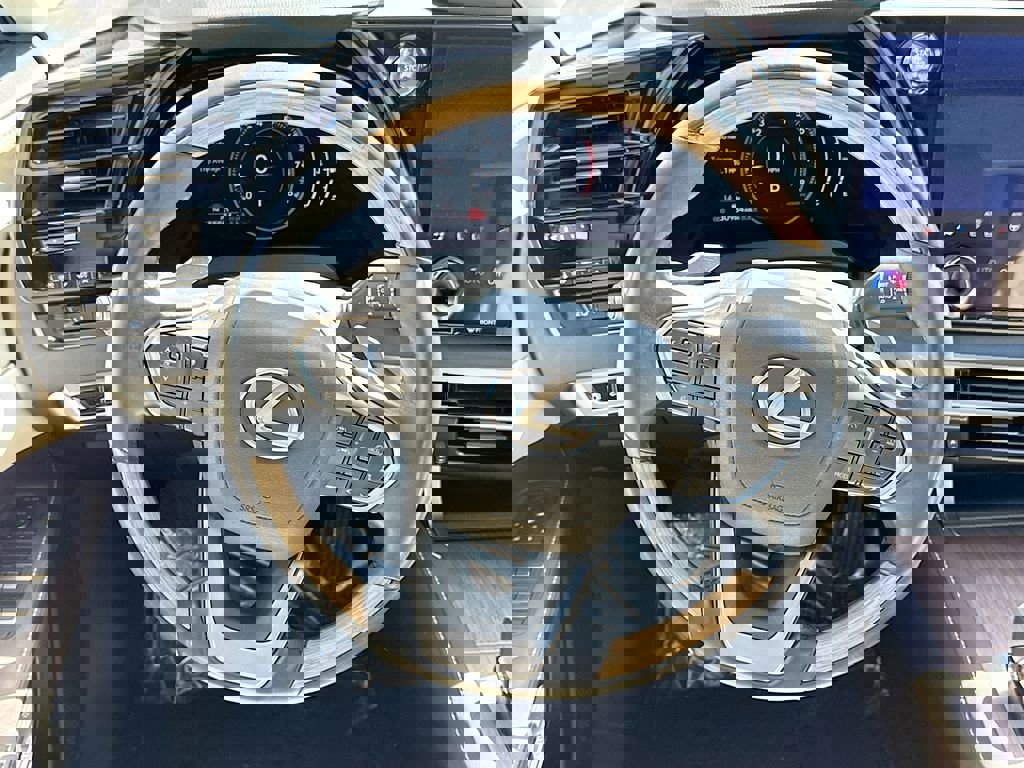 Used 2023 Lexus RX 350 Premium Plus w/ Cold Area Package image 24