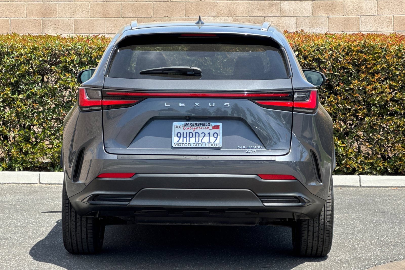 Certified 2024 Lexus NX 350h AWD w/ Cold Area Package image 5