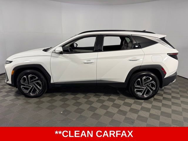 Used 2025 Hyundai Tucson Limited image 5