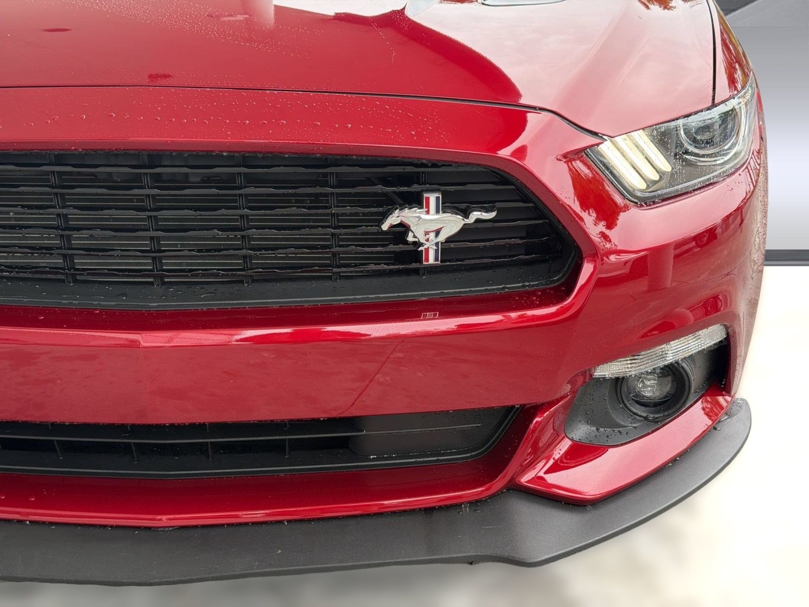 Used 2017 Ford Mustang GT Premium w/ Equipment Group 401A RWD image 11