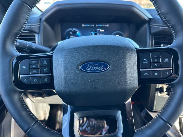 New 2025 Ford F150 Lightning Platinum w/ Dark Elements Package image 21