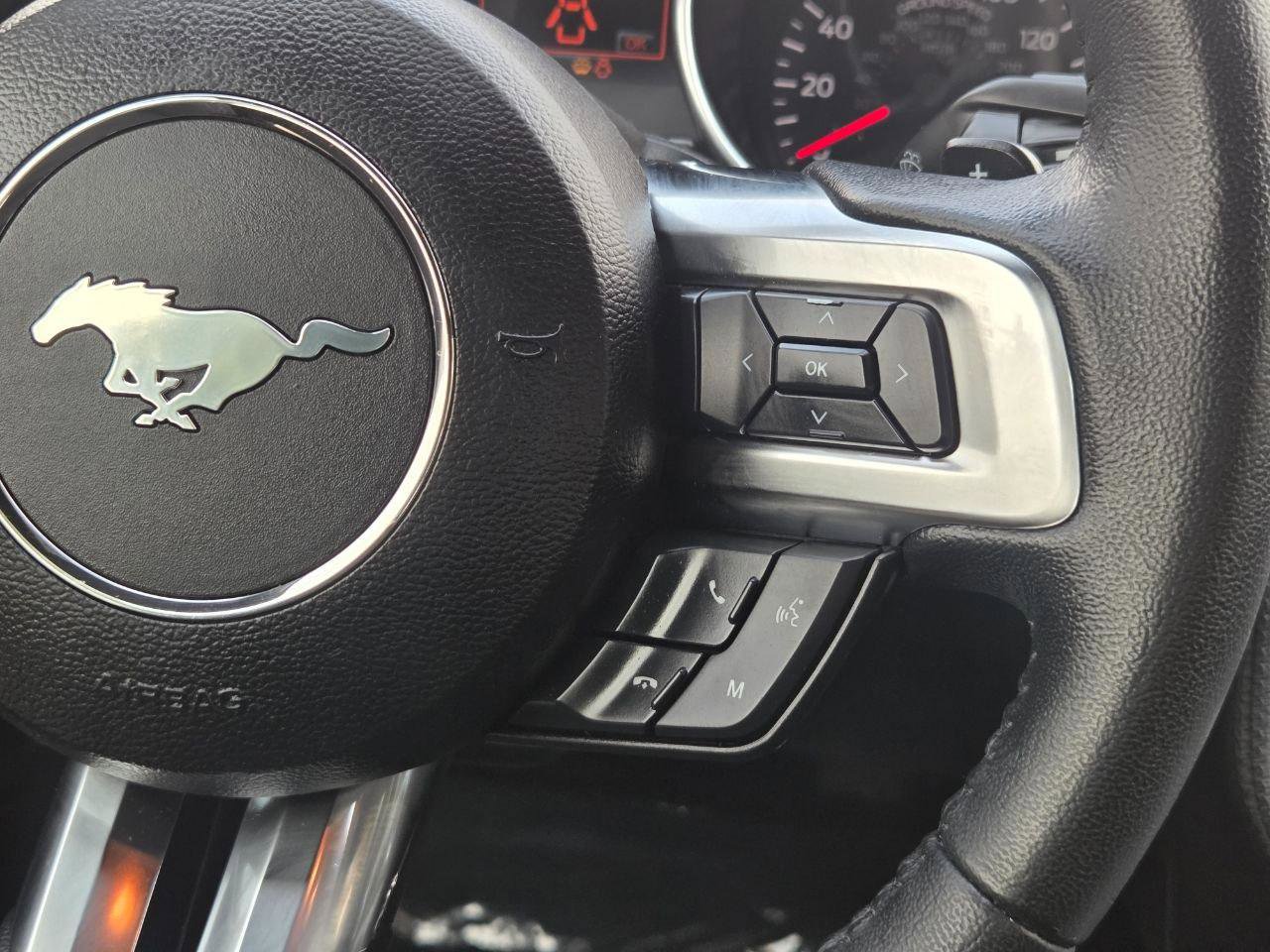 Used 2019 Ford Mustang Coupe w/ Equipment Group 101A RWD image 21