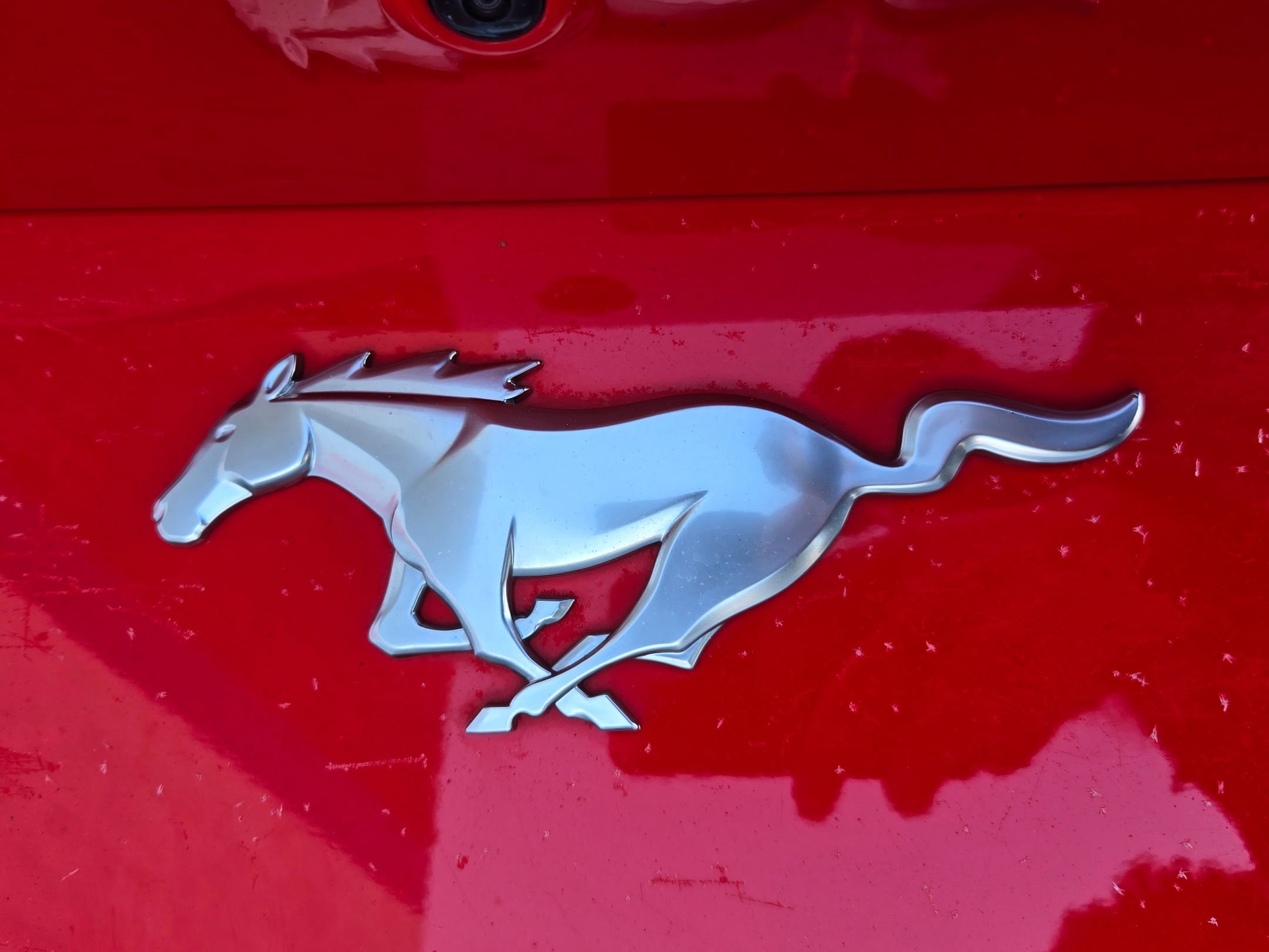 Used 2024 Ford Mustang Premium image 10