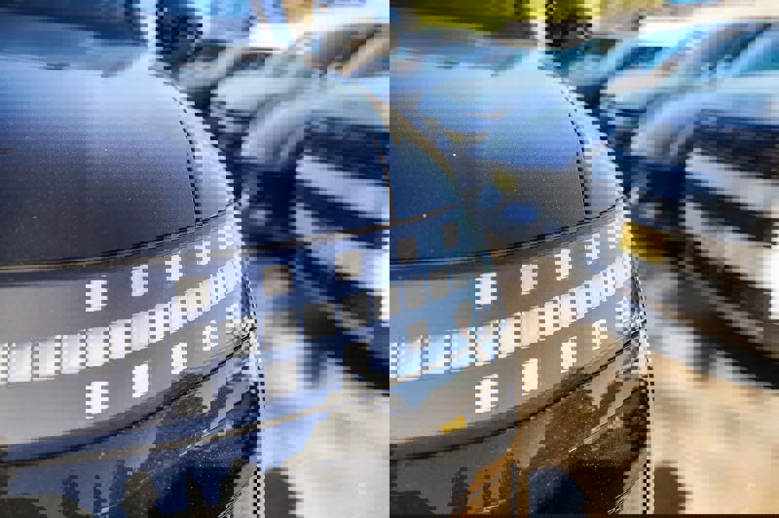 New 2026 Hyundai Ioniq 9 Calligraphy image 10