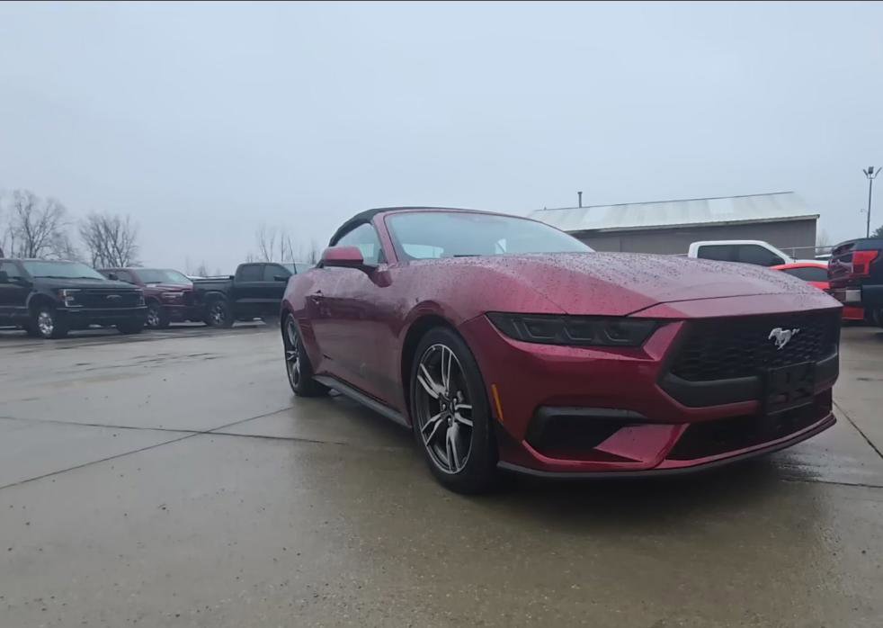 Used 2025 Ford Mustang Premium w/ Wheel & Stripe Package image 1