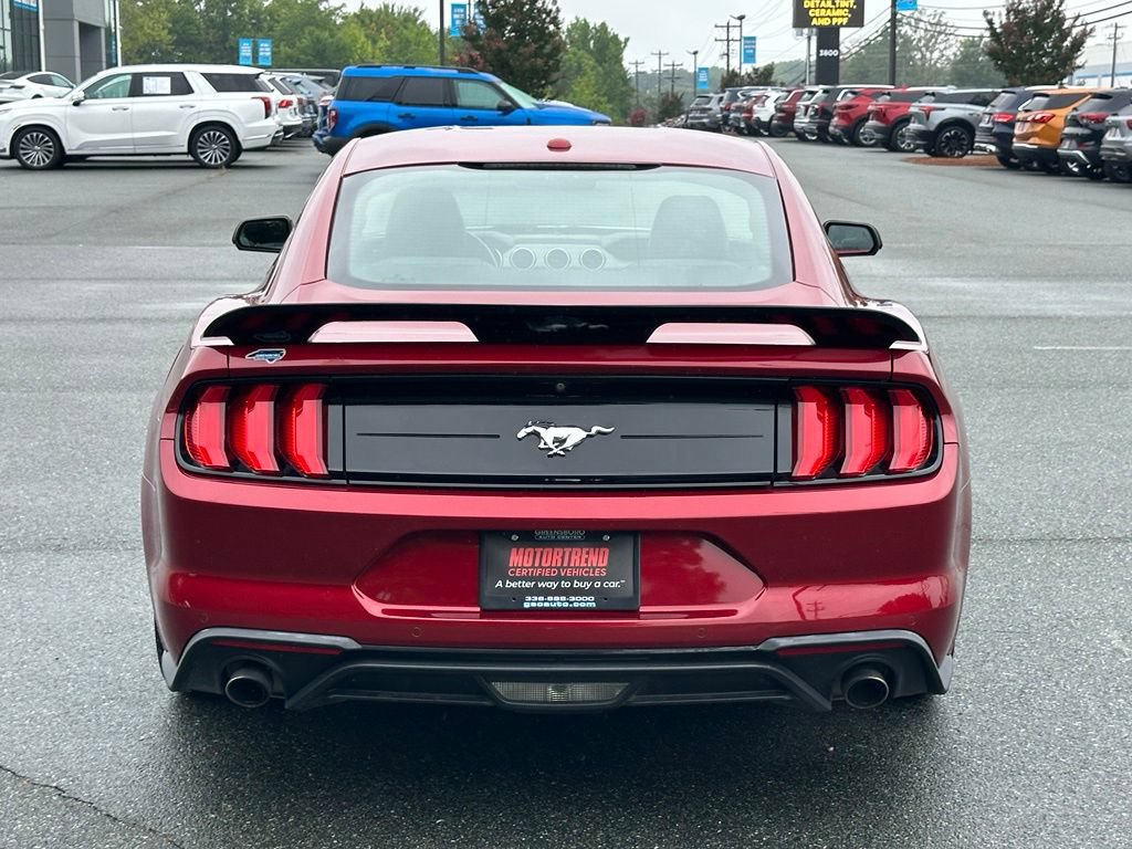 Used 2019 Ford Mustang Premium w/ Equipment Group 201A RWD image 7