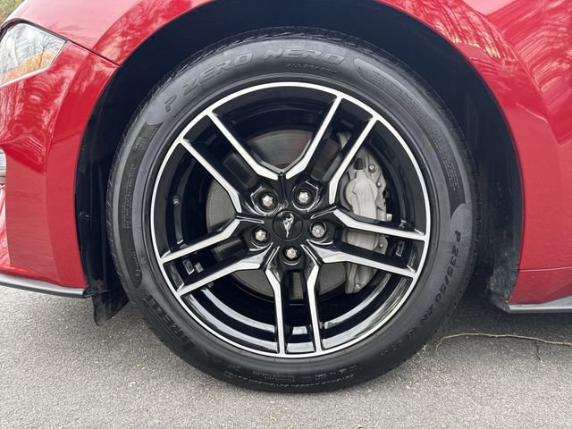 Certified 2023 Ford Mustang GT Premium w/ Equipment Group 401A image 10