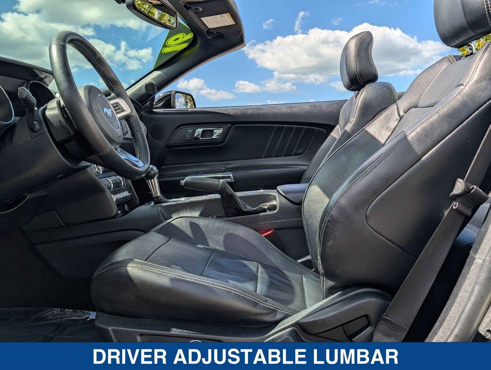 Used 2016 Ford Mustang Premium w/ Equipment Group 201A RWD image 17