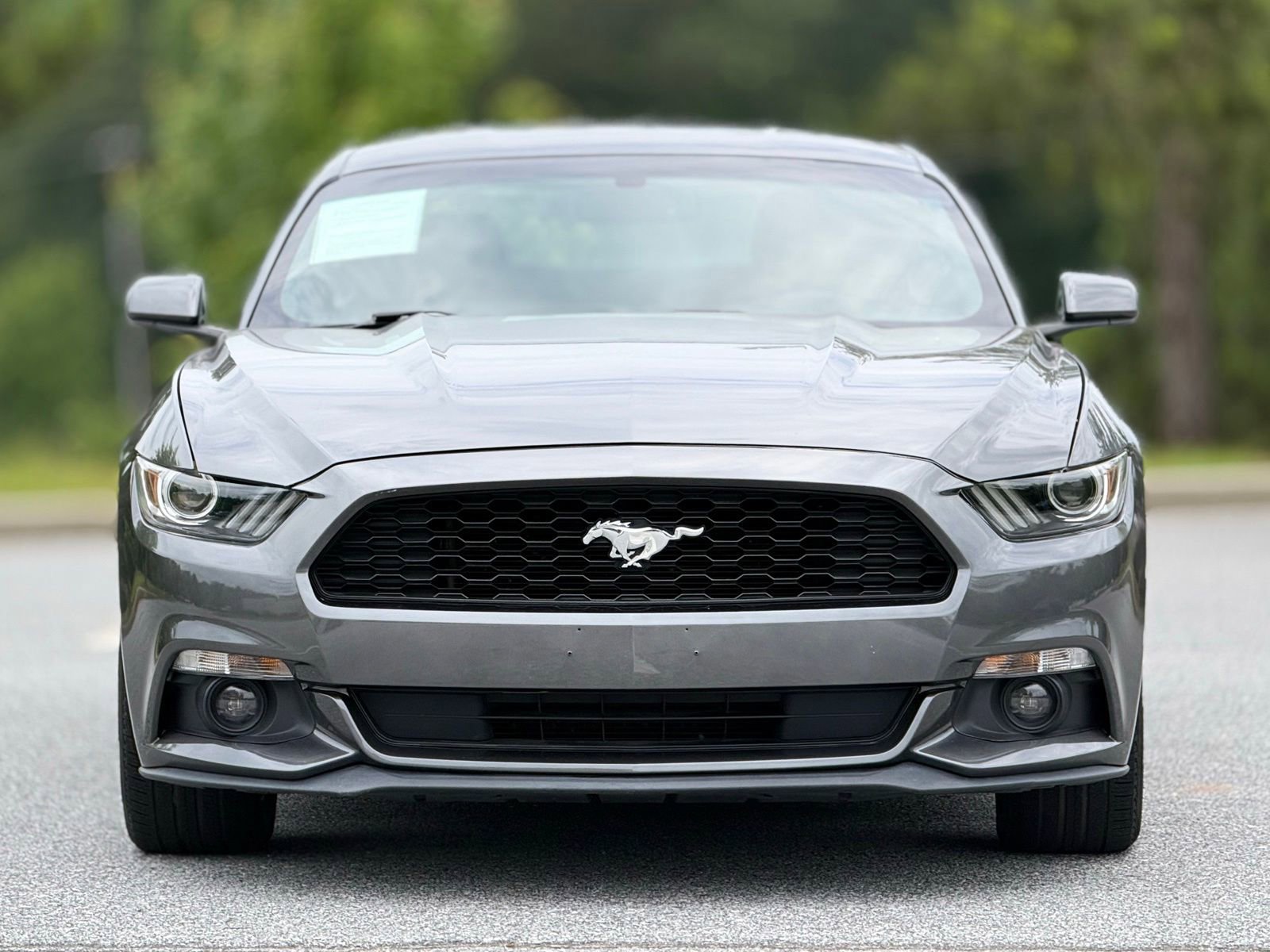 Used 2016 Ford Mustang Coupe w/ Equipment Group 051A RWD image 3