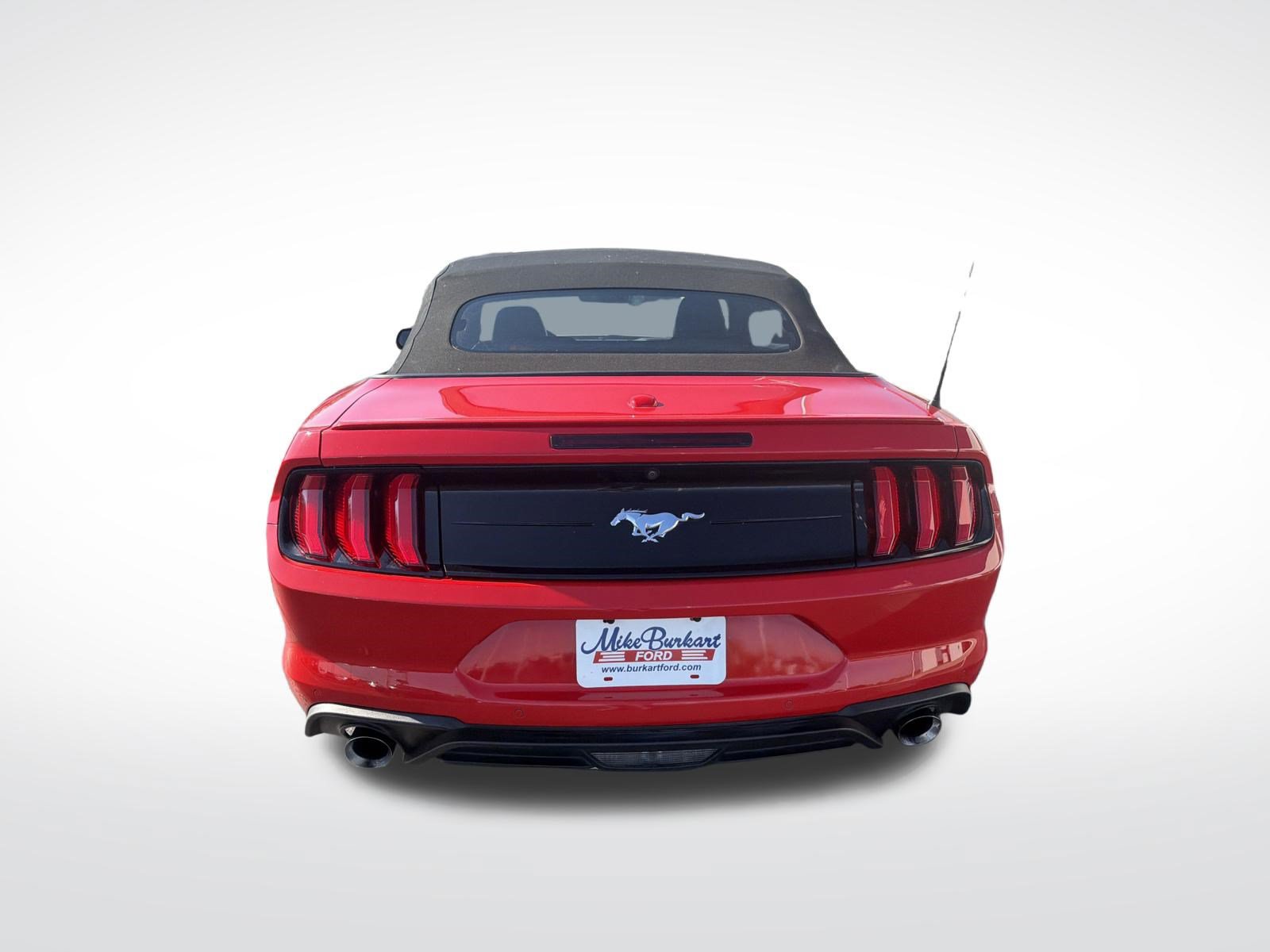 Used 2019 Ford Mustang Premium w/ Equipment Group 201A RWD image 11