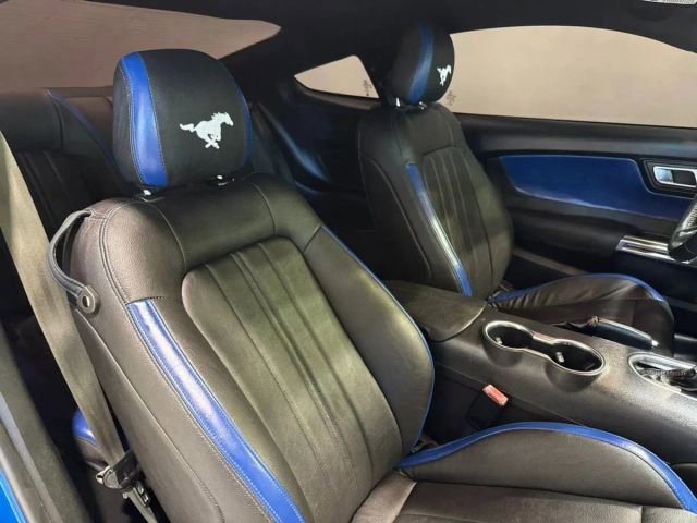 Used 2019 Ford Mustang EcoBoost w/ Equipment Group 101A image 24