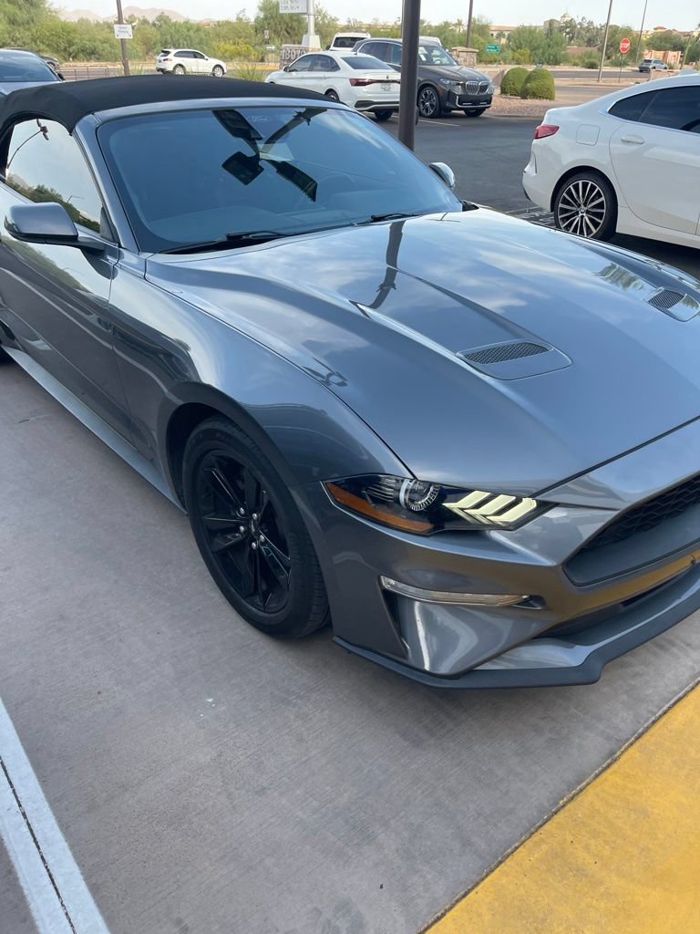 Used 2023 Ford Mustang Premium w/ Equipment Group 201A RWD image 2