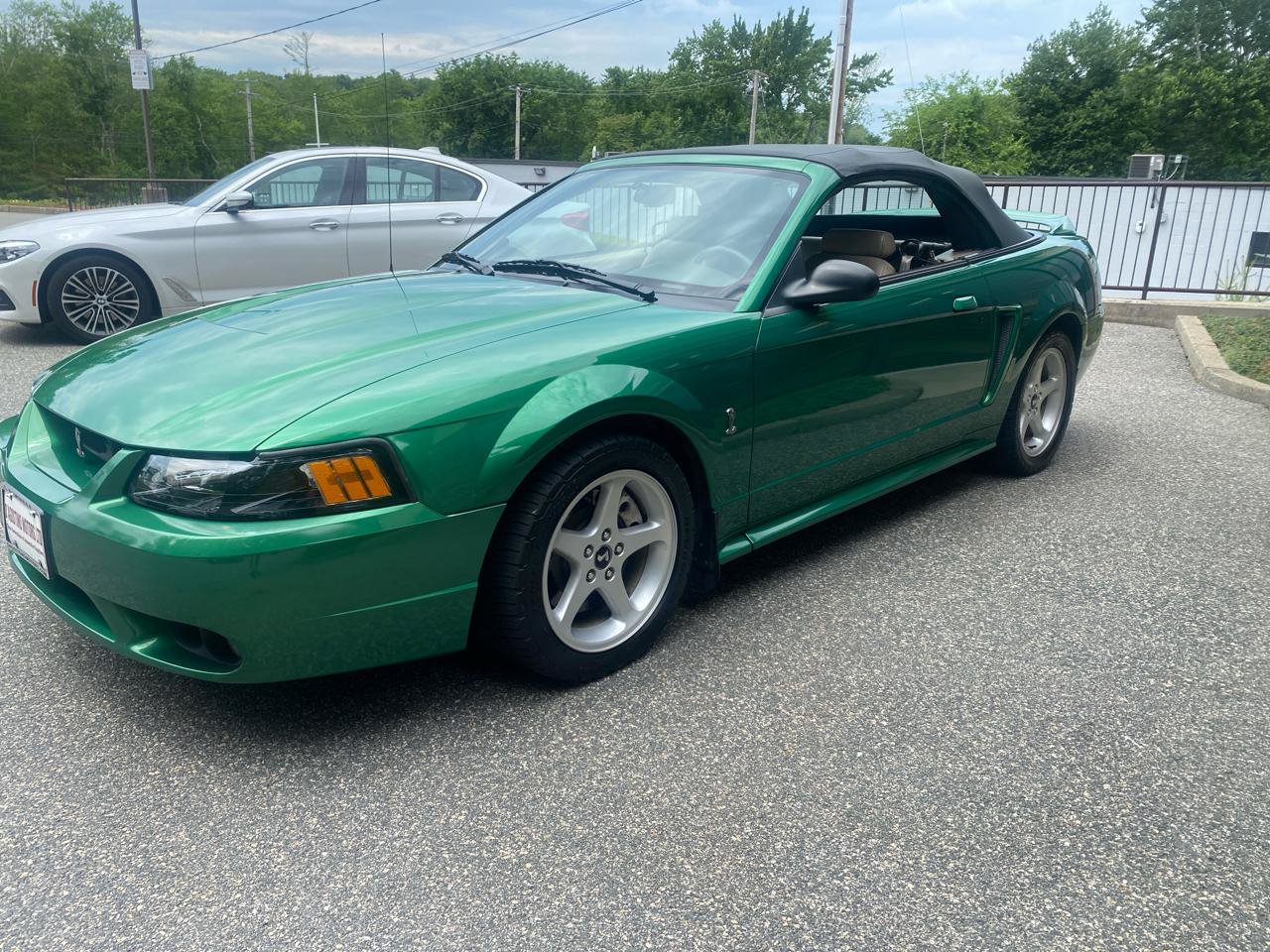 Used 1999 Ford Mustang Cobra RWD image 31