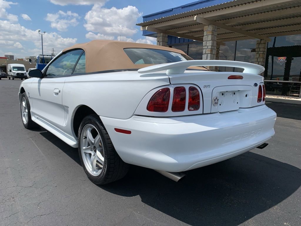 Used 1998 Ford Mustang Cobra RWD image 5