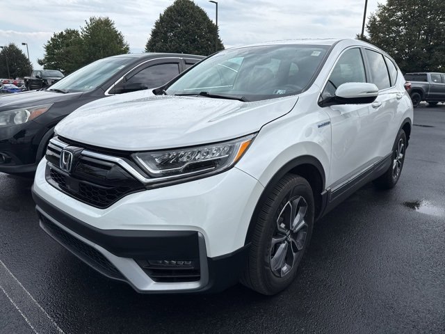 Certified 2022 Honda CR-V EX-L image 4