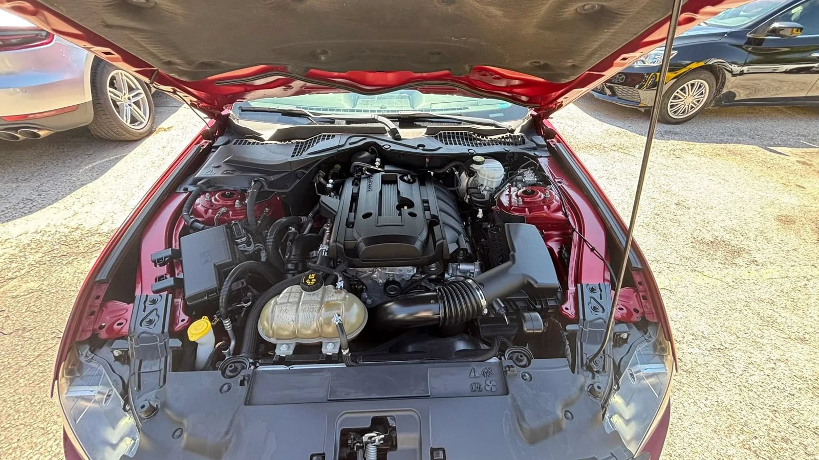 Used 2019 Ford Mustang Coupe RWD image 18