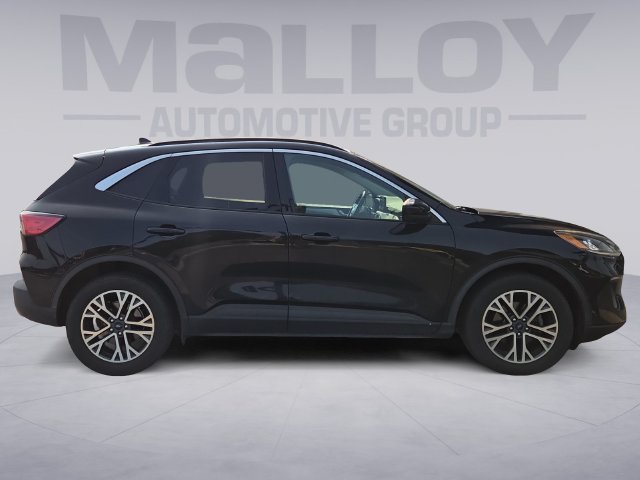 Used 2020 Ford Escape SEL AWD/4WD image 6