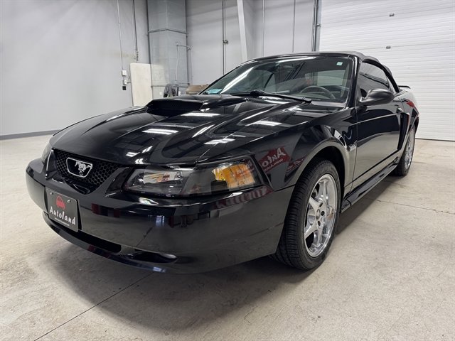 Used 2003 Ford Mustang GT image 3