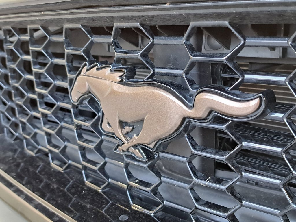 Used 2024 Ford Mustang GT Premium image 32