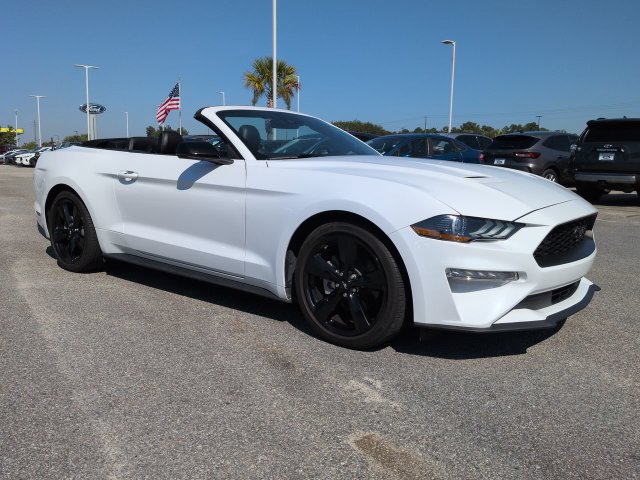 Used 2023 Ford Mustang Premium w/ Equipment Group 201A RWD image 2