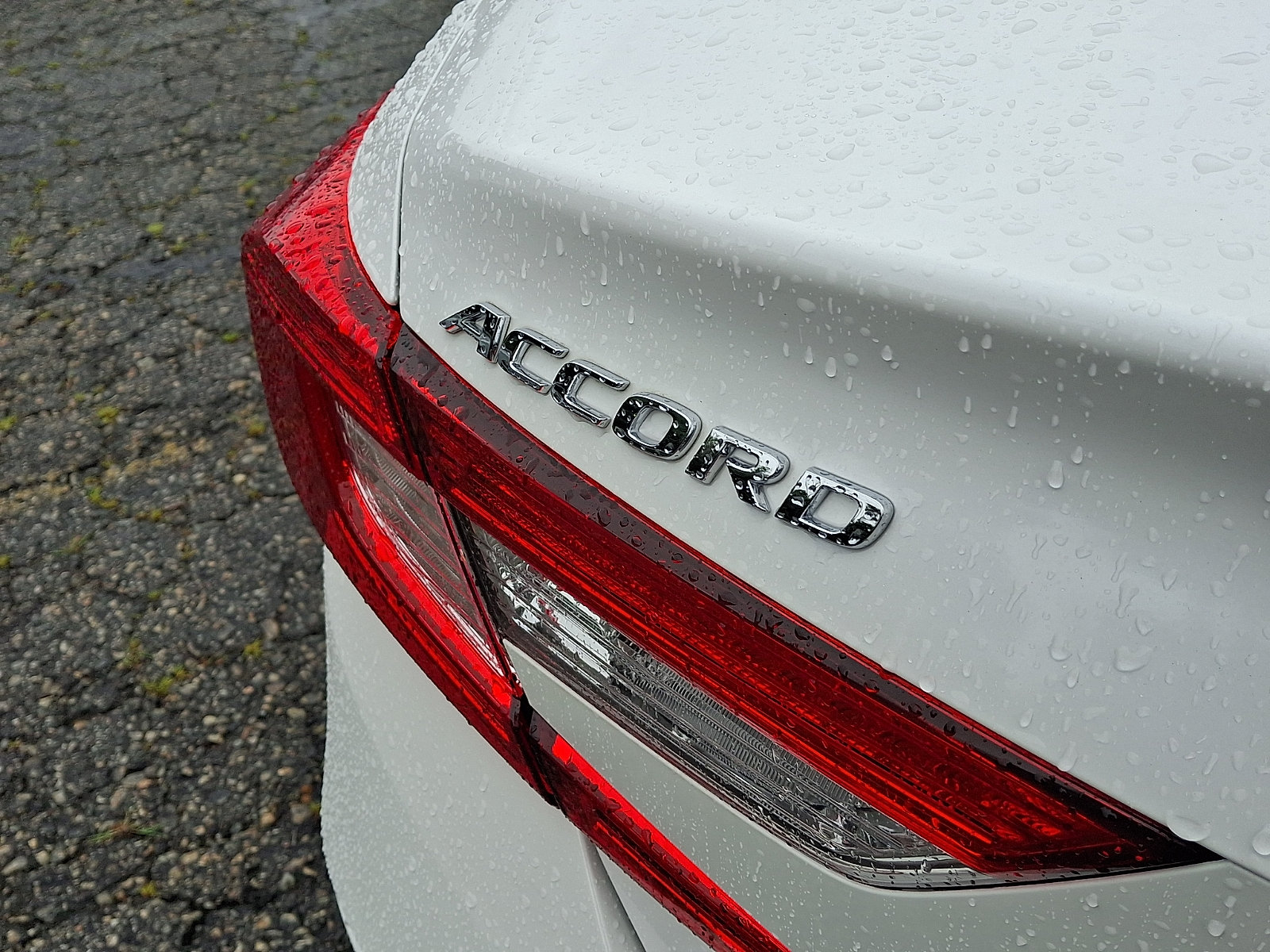 Certified 2019 Honda Accord EX image 31