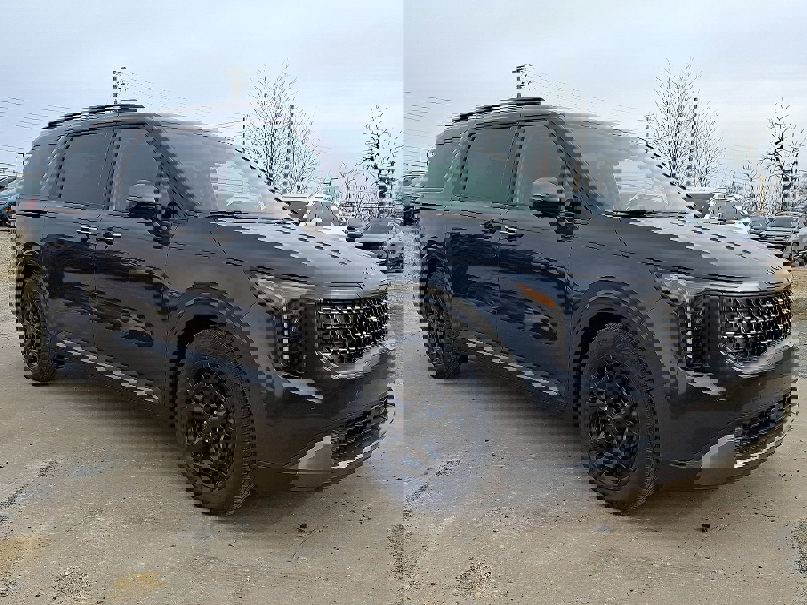 New 2026 Kia Carnival SX Prestige image 2