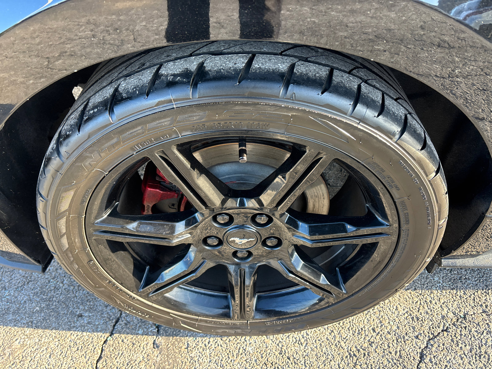 Used 2015 Ford Mustang GT Premium w/ Equipment Group 401A image 11