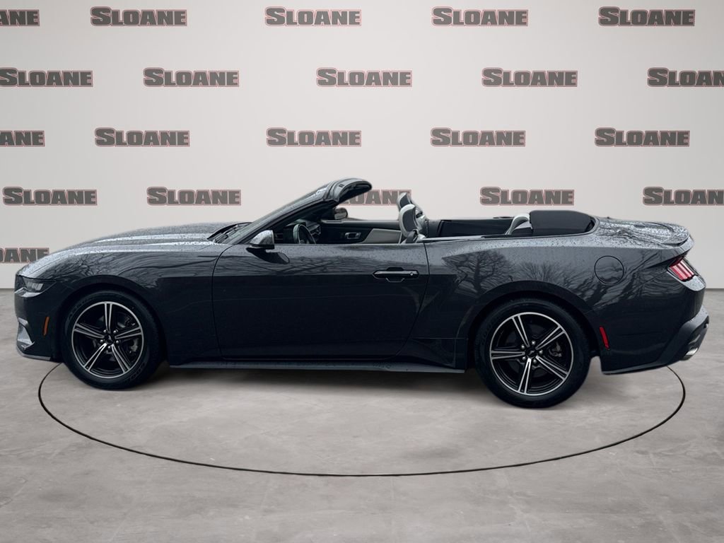 Used 2024 Ford Mustang Premium image 2