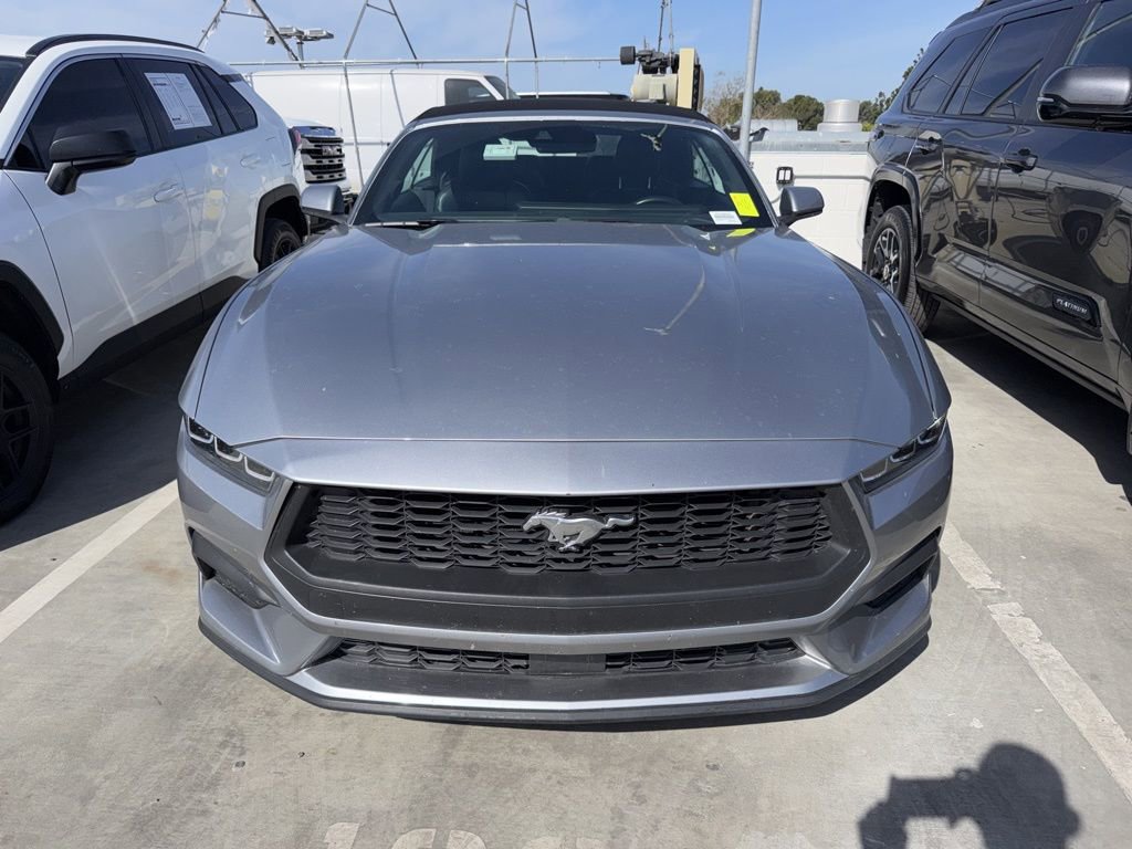 Used 2024 Ford Mustang Premium image 1