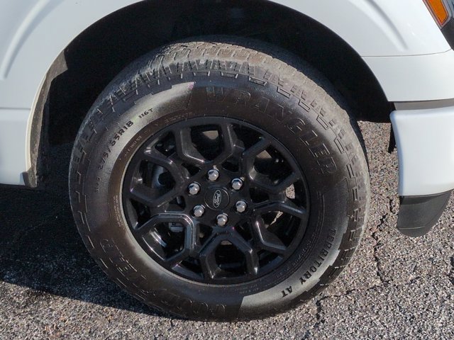 Used 2025 Ford F150 XLT w/ Equipment Group 301A Standard AWD/4WD image 10