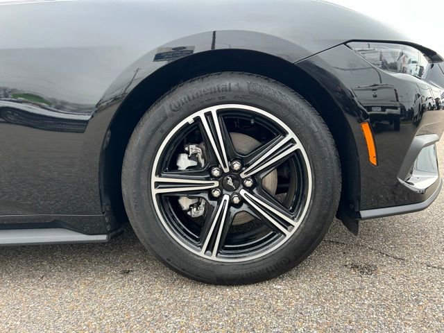 Certified 2025 Ford Mustang EcoBoost image 10