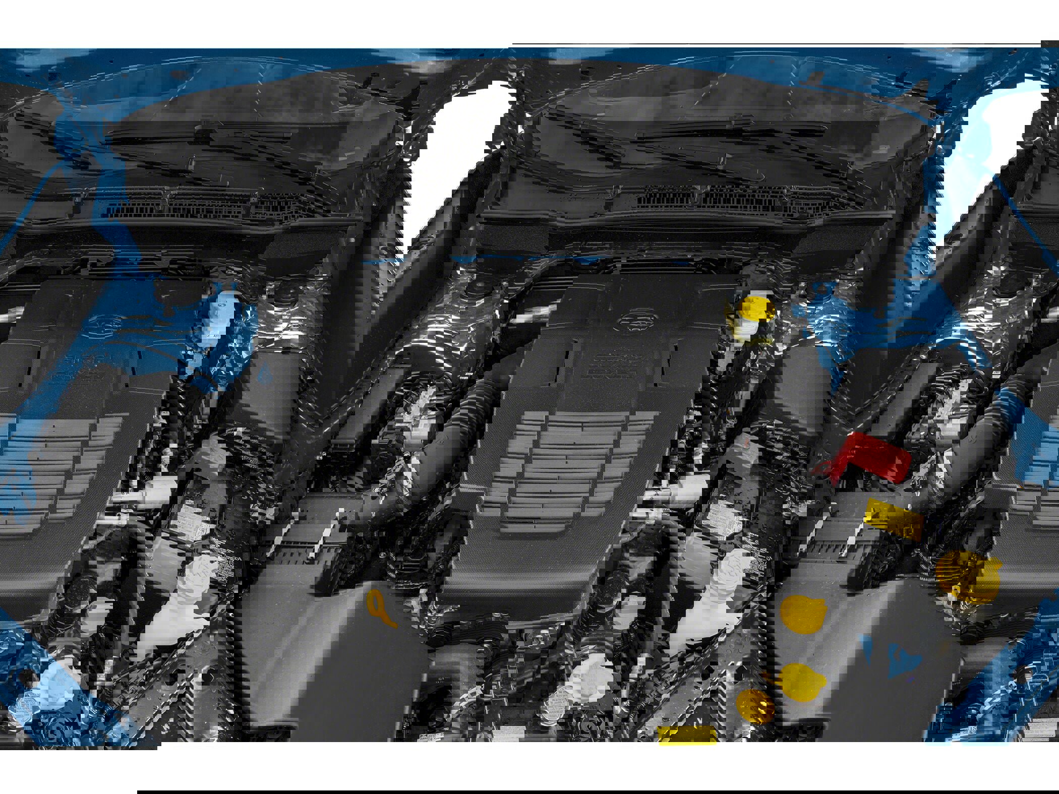 Certified 2025 Subaru Forester Wilderness w/ Wilderness Package image 12