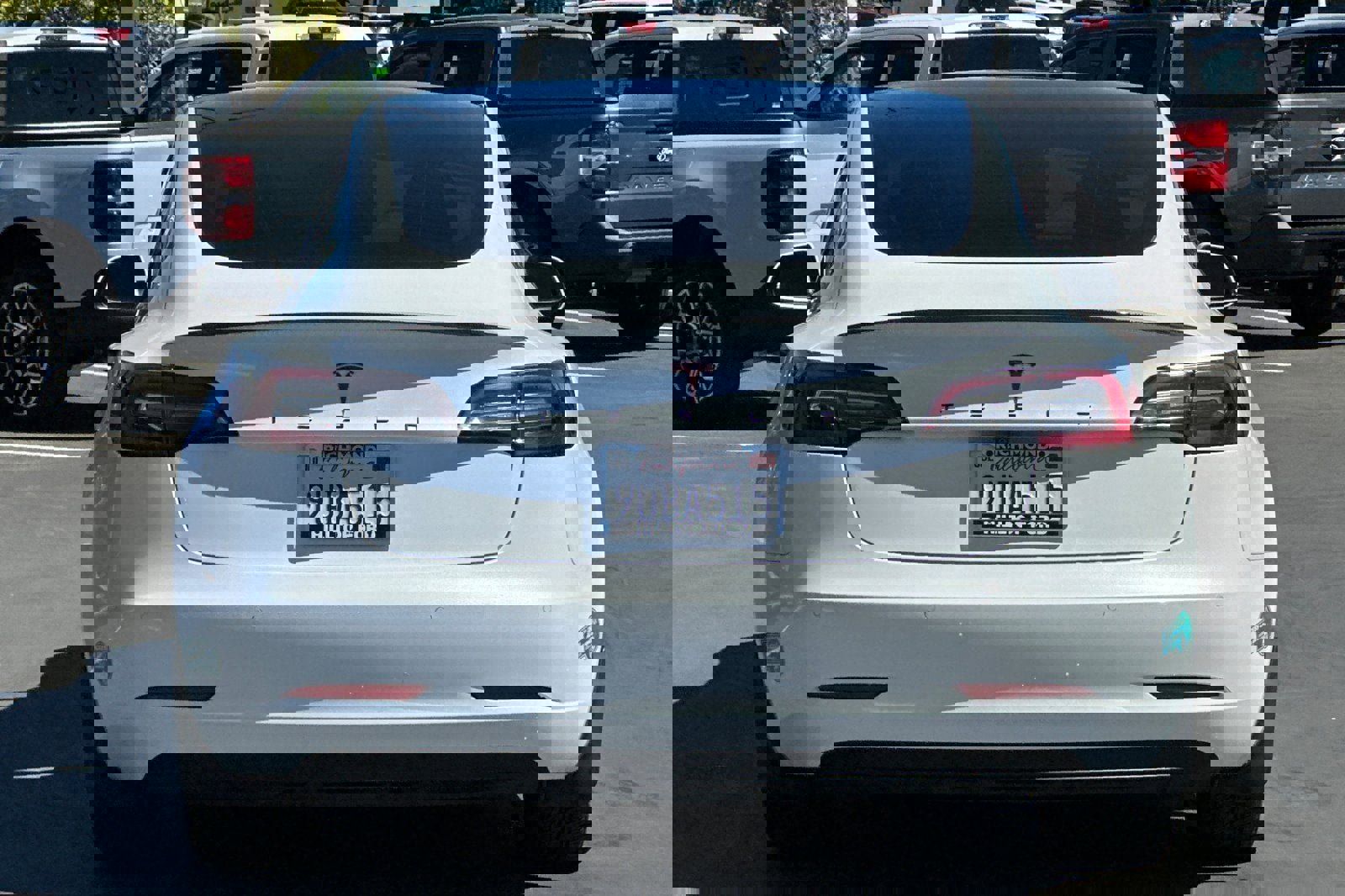 Used 2019 Tesla Model 3 Standard Range Plus image 5